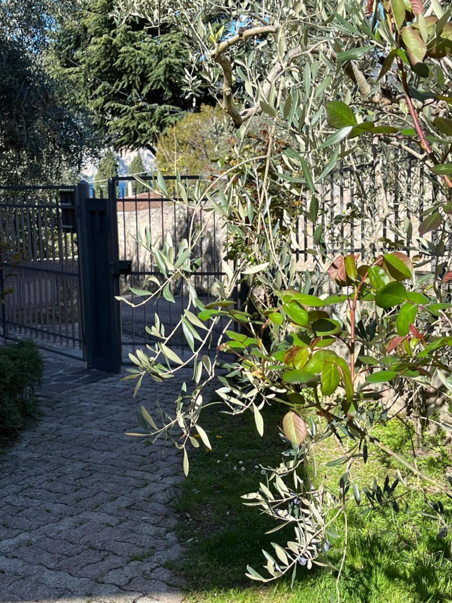 Casa Noario Lejlighed Malcesine Eksteriør billede